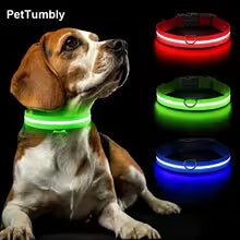 LED Dog Collar