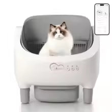 Self Cleaning Cat Litter