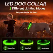 LED Dog Collar