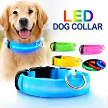 LED Dog Collar