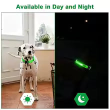 LED Dog Collar