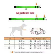 LED Dog Collar